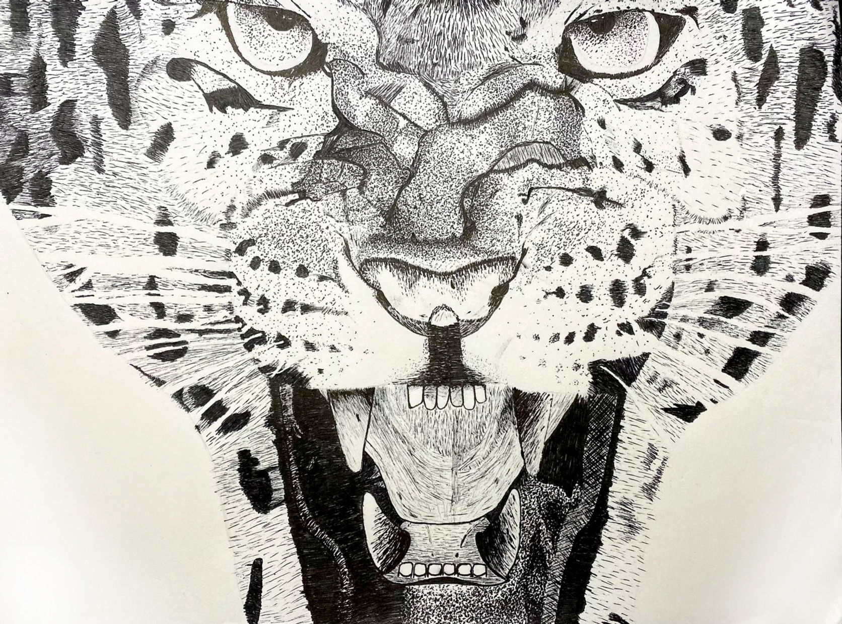 Big cat warning